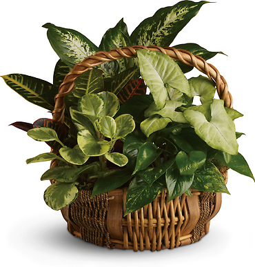 Emerald Garden Basket