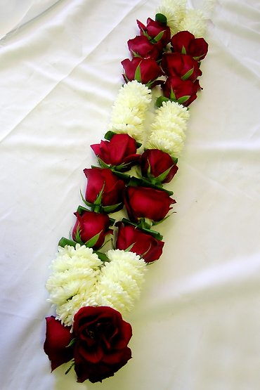 Red Roses and white mums