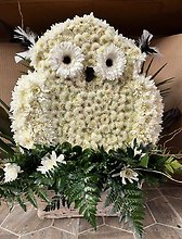 Owl in a basket