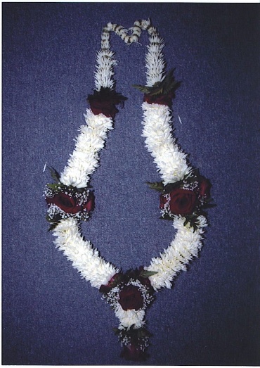 Maroon and white